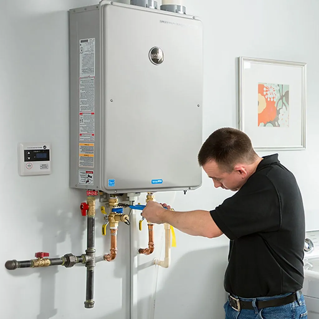 tankless water heater repair in Anvik, AK